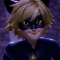 cat noir