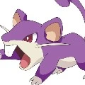ratata