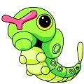 catarpi