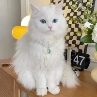 Ddalgi