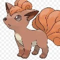 volpix