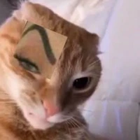 Yo mera