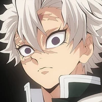 sanemi shinazugawa