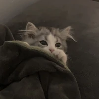 แอด