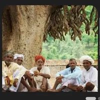 Elderly guest Males