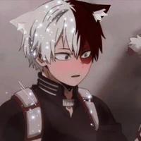 Shoto Todoroki  17[gato🐱](O.D)