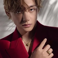 Kim Taehyung ( Enigma)