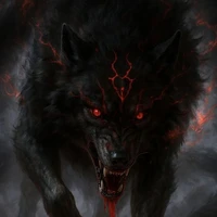 Luke(Lobo do Klaus)