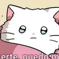 yo la autora
