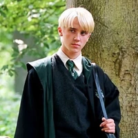 Draco malfoy(D.P.D)