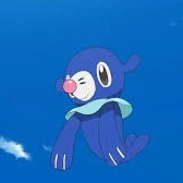 Popplio (Lagoon)