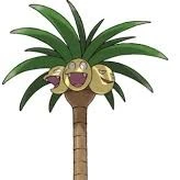 Alolan Exeggutor (Wild)