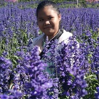 อัญชัน(ร่างคน)