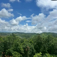 แอดด