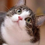 sâu kiu_ bà tg cute 😍