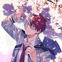 todoroki