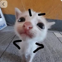 autora alias la emo