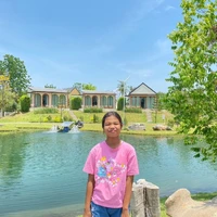 ใบเฟิร์น