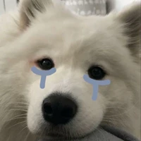 แอด