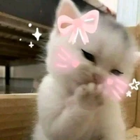 Authyy