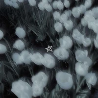 ✧༺𝚊𝚞𝚝𝚘𝚛𝚊༻✧