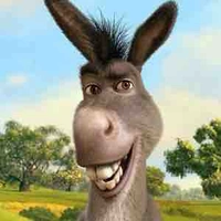 Donkey