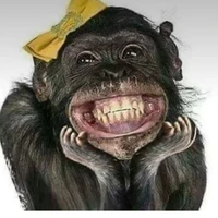 หนูดีที่ไม่ดี(แอดเอง)