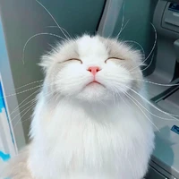 แอดเองคร่าาา