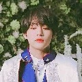 อีวานลิซเทอร์(เมืองชาเอลอน)
