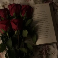 ~⧼🥀⧽」:: !!