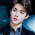 sehun/asisten Lisa sebagai arsitek