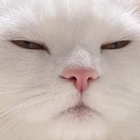 แอดเองจร้