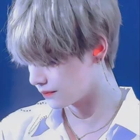 Mrs. KIM VINNE(pure blood omega)