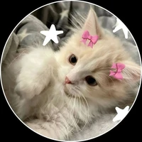 ♡your pookie author♡