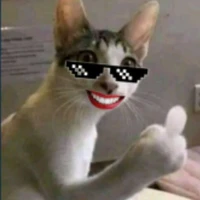 kucing imyupp