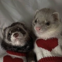 sora y Lilo