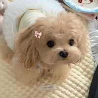 nala