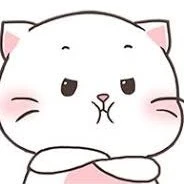 พ.น.ง