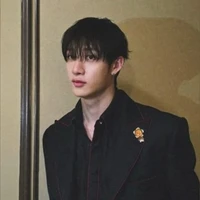 Bang Chan 