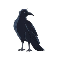 corvo