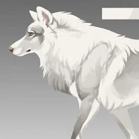 Yuki em lobo