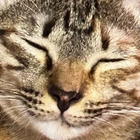 แอด