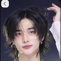 hyunjin🥟