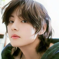 Kim Taehyung (Transmigrated)