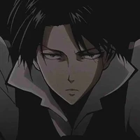levi