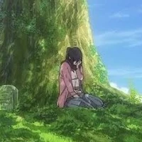 mikasa