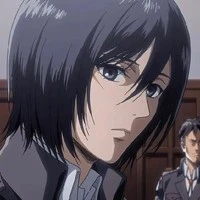 mikasa