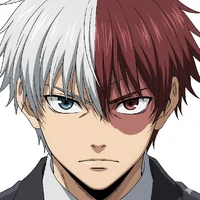 Shoto Todoroki