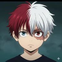 Shoto Todoroki