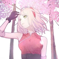Sakura(16)/Alfa/
